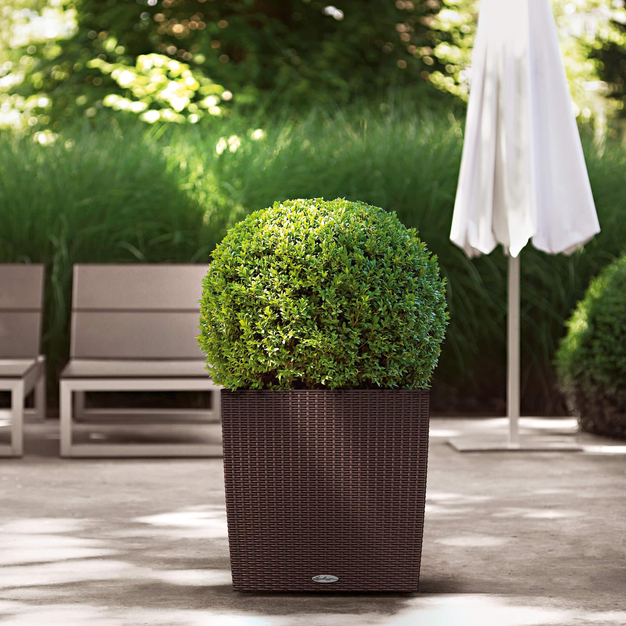 le_cube-cottage50_product_addi_01