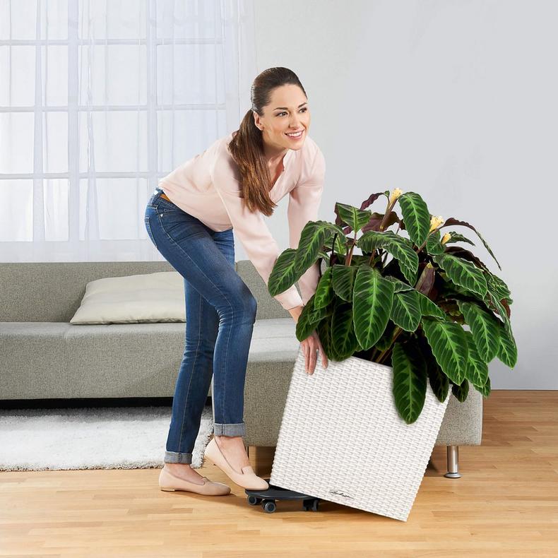 le_cube-cottage_product_addi_coaster