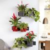 Green Wall Home Kit Glossy antracita muy brillante additional thumb 5