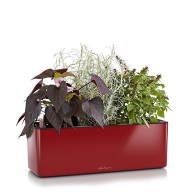 CUBE Glossy Triple scarlet rot highgloss