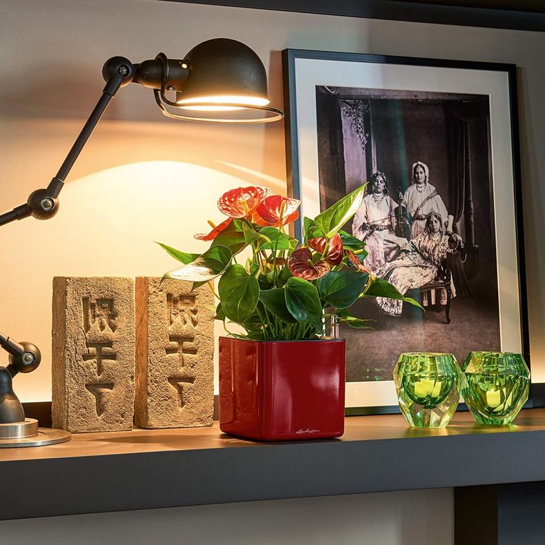 le_cube-glossy14_product_addi_01