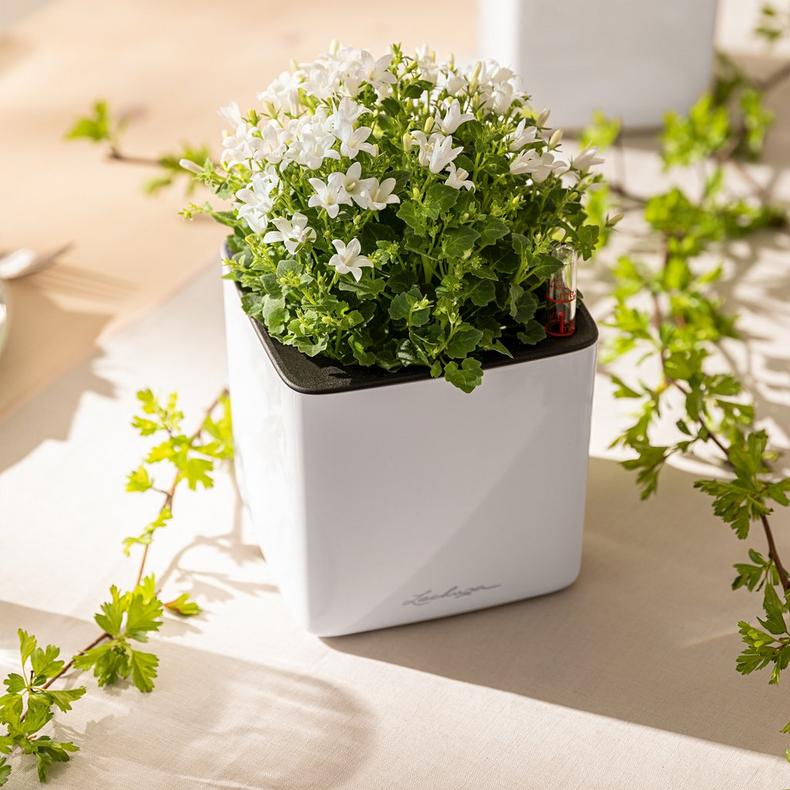 le_cube-glossy14_product_addi_05