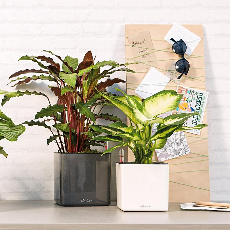 le_cube-glossy_product_addi_06