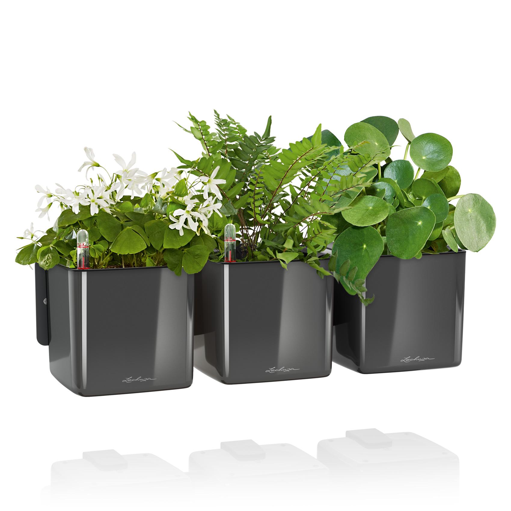 CUBE Premium Green Wall Home Kit Glossy charcoal high-gloss