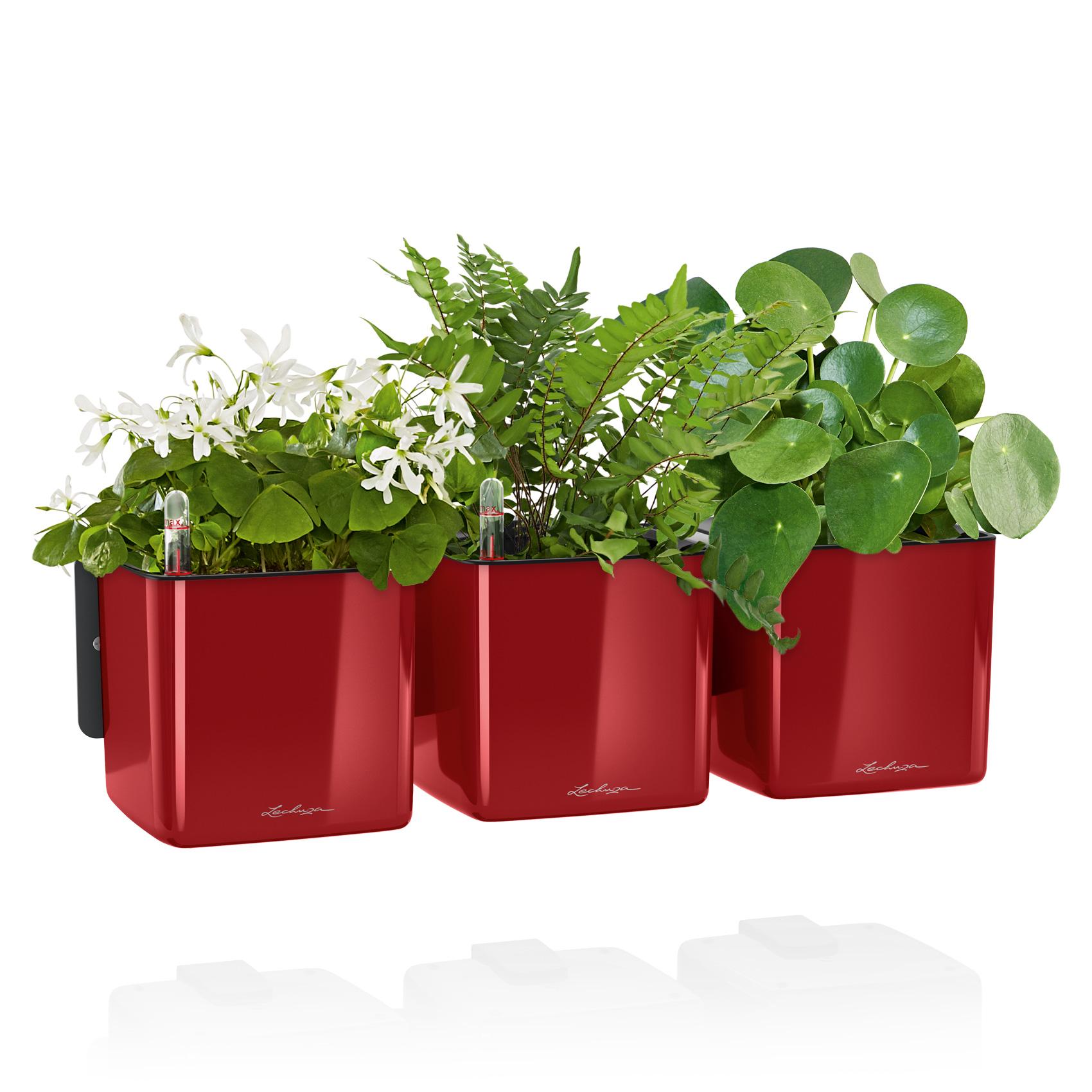 CUBE Premium Green Wall Home Kit Glossy rouge scarlet ultra brillant