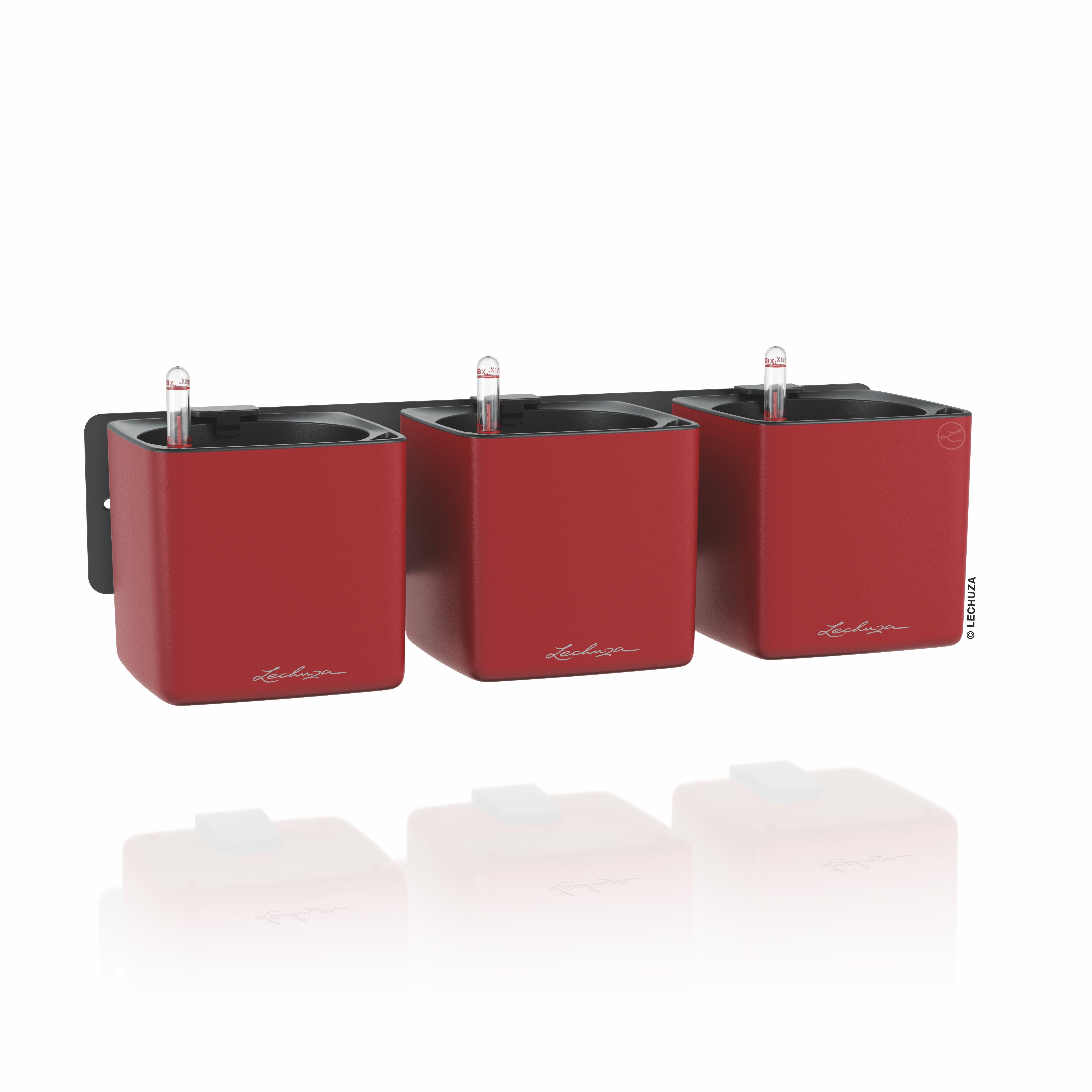 CUBE Premium Green Wall Home Kit scarlet rot matt