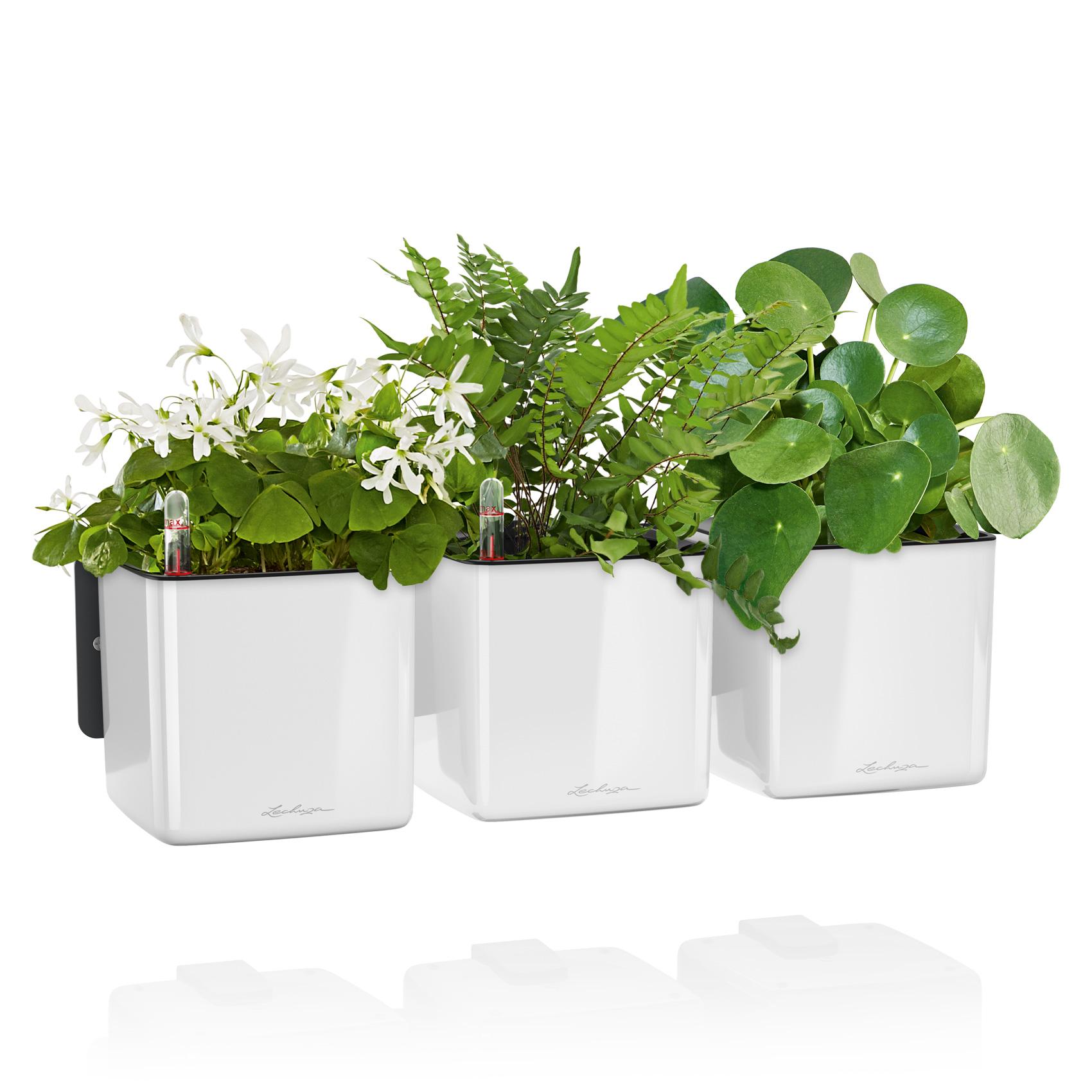 CUBE Premium Green Wall Home Kit Glossy white high-gloss