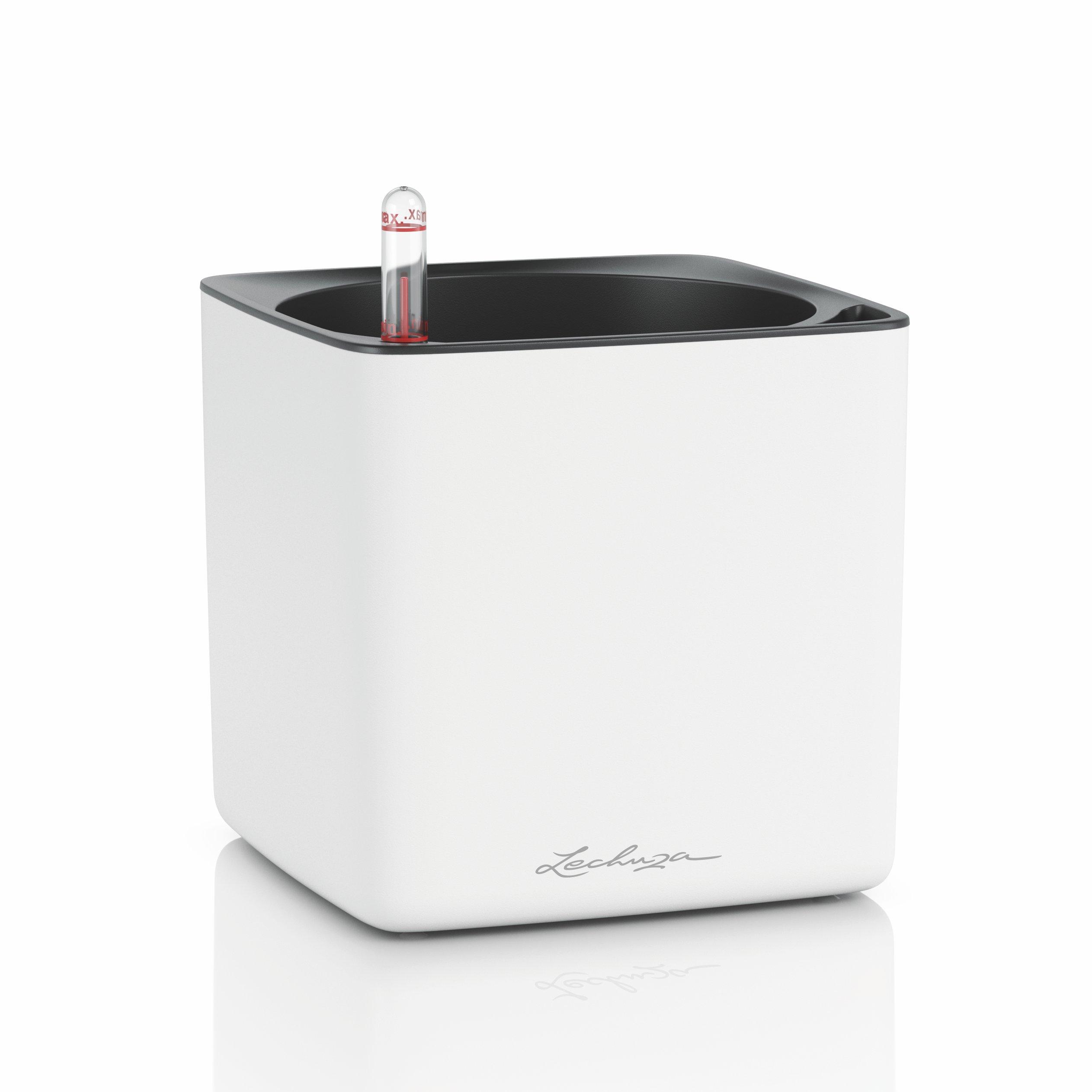 CUBE Premium