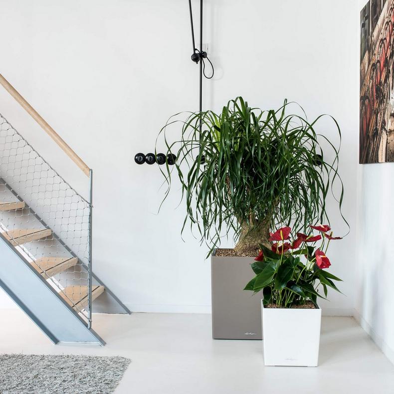 le_cube30_product_addi_02