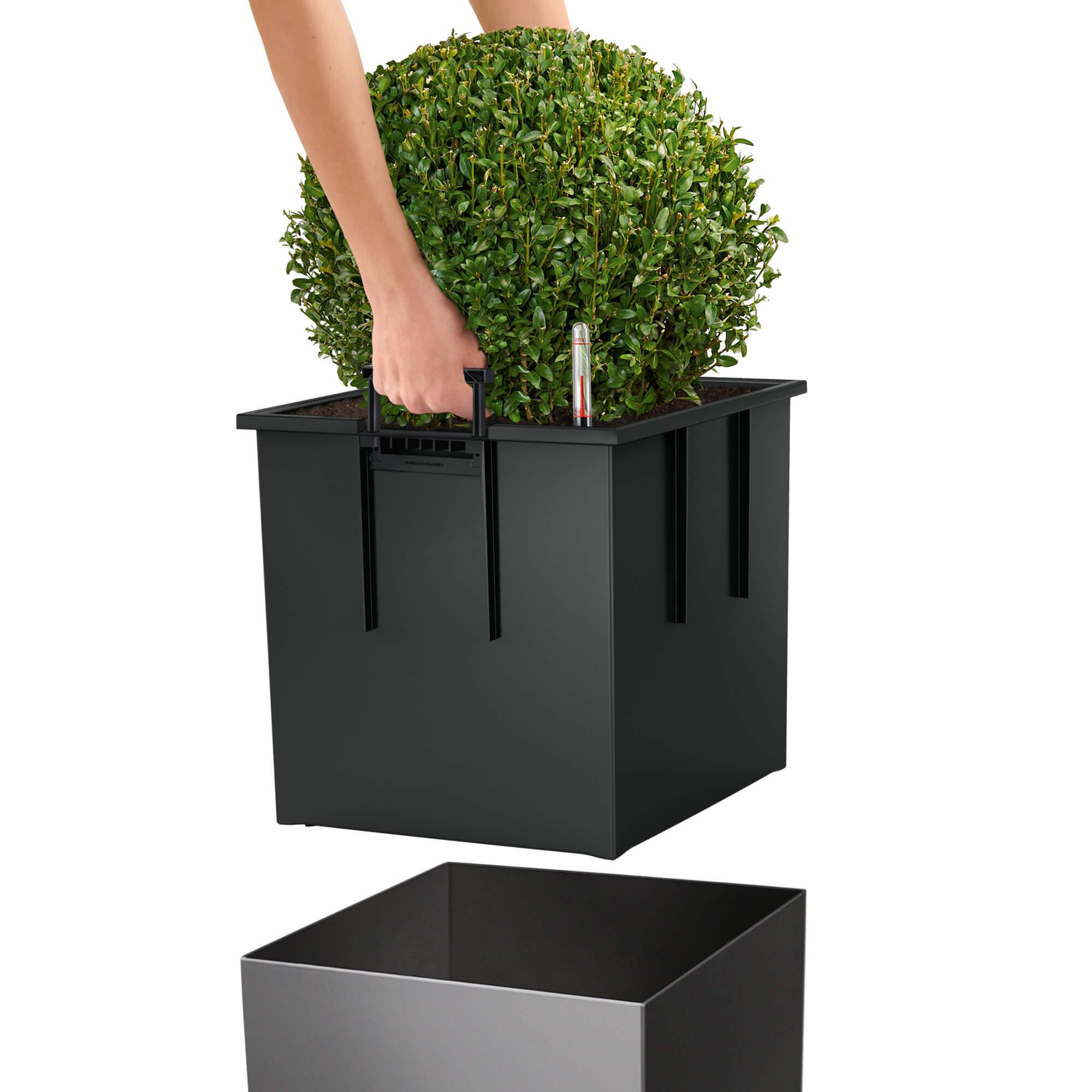 le_cube30_product_addi_liner