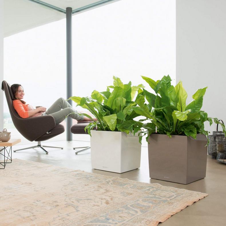 le_cube40_product_addi_02