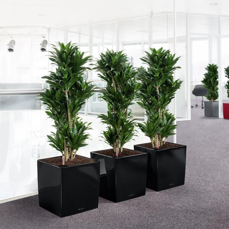 le_cube40_product_addi_04