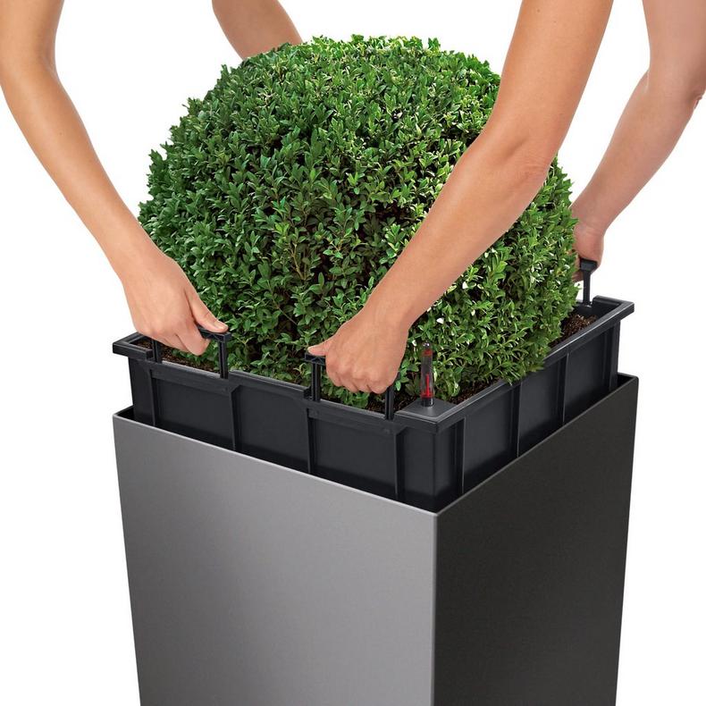 le_cube50_product_addi_liner