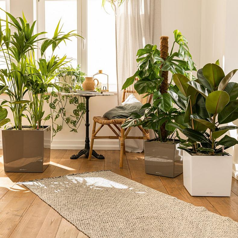 le_cube_product_addi_03