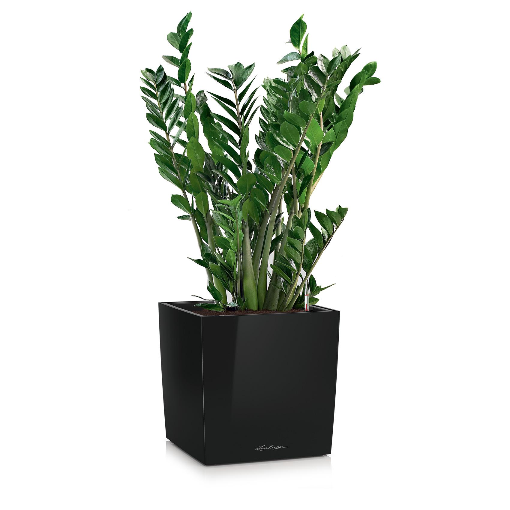 CUBE 50 black high-gloss