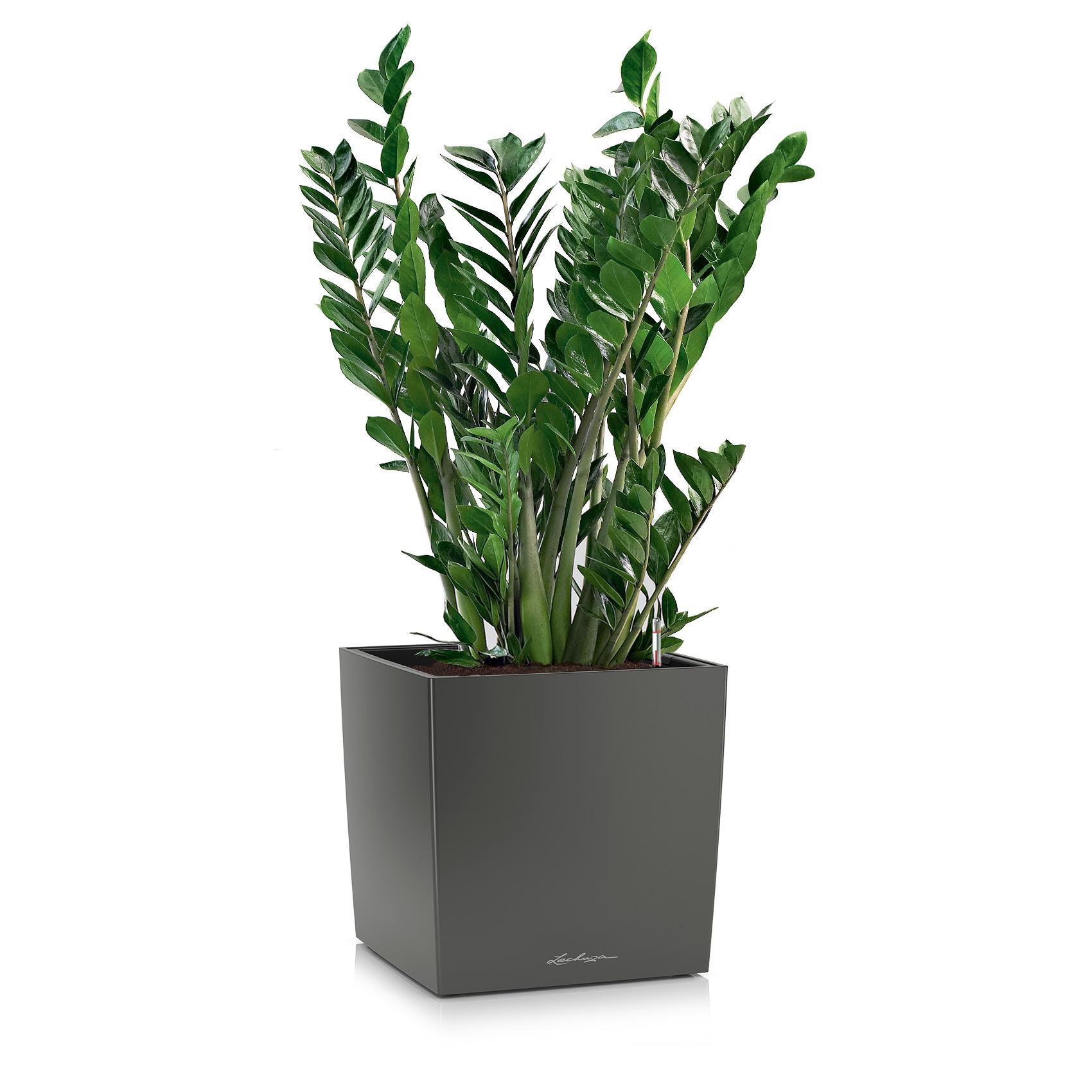 CUBE Premium 50 anthracite m&eacute;tallis&eacute;