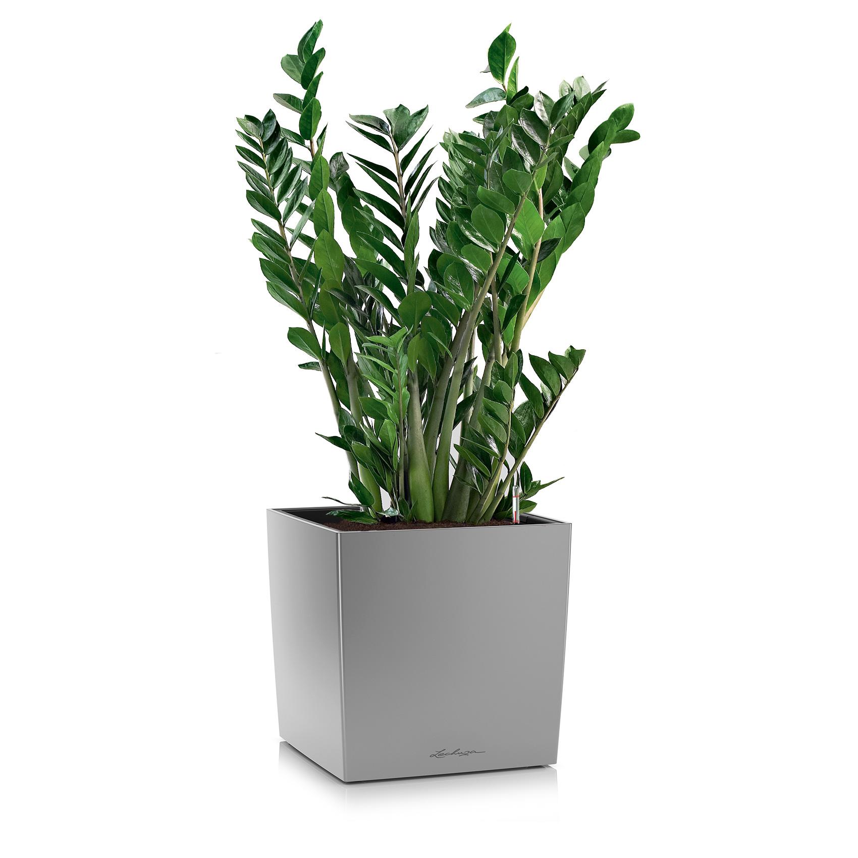 CUBE Premium 50 silber metallic
