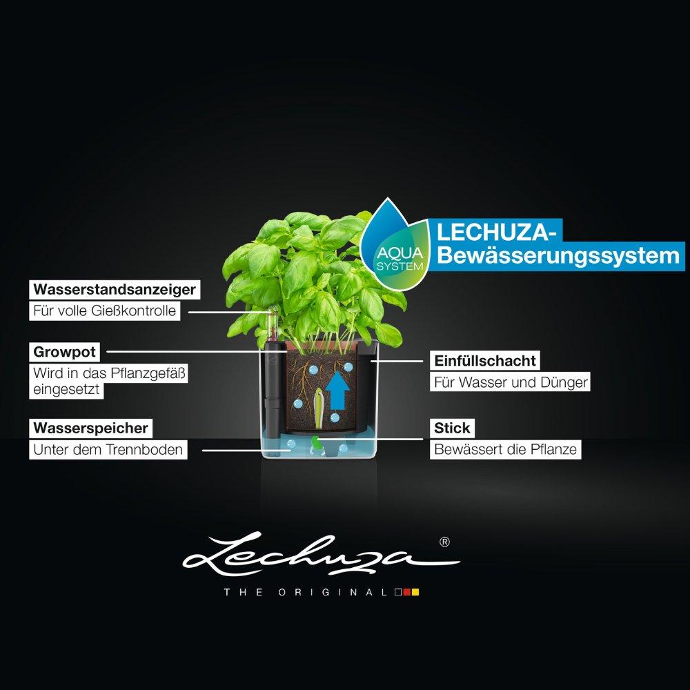 le_cube_small_BWS_DE