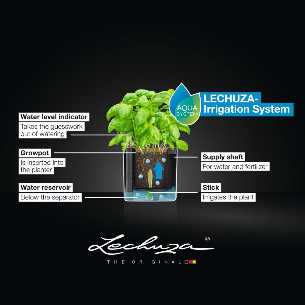 le_cube_small_BWS_EN