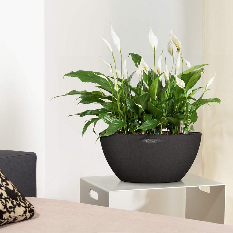 le_cubeto-stone40_product_addi_02