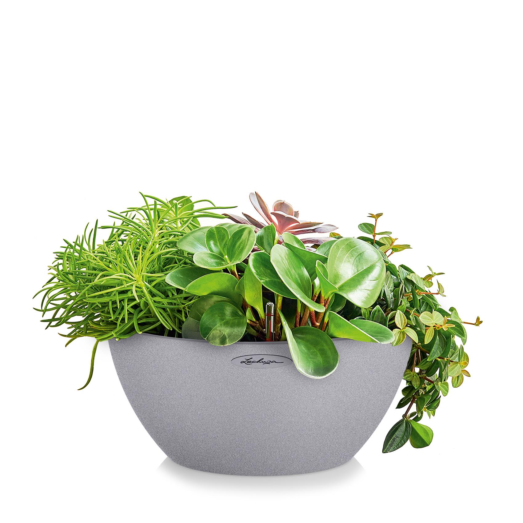 CUBETO Stone 30 stone grey