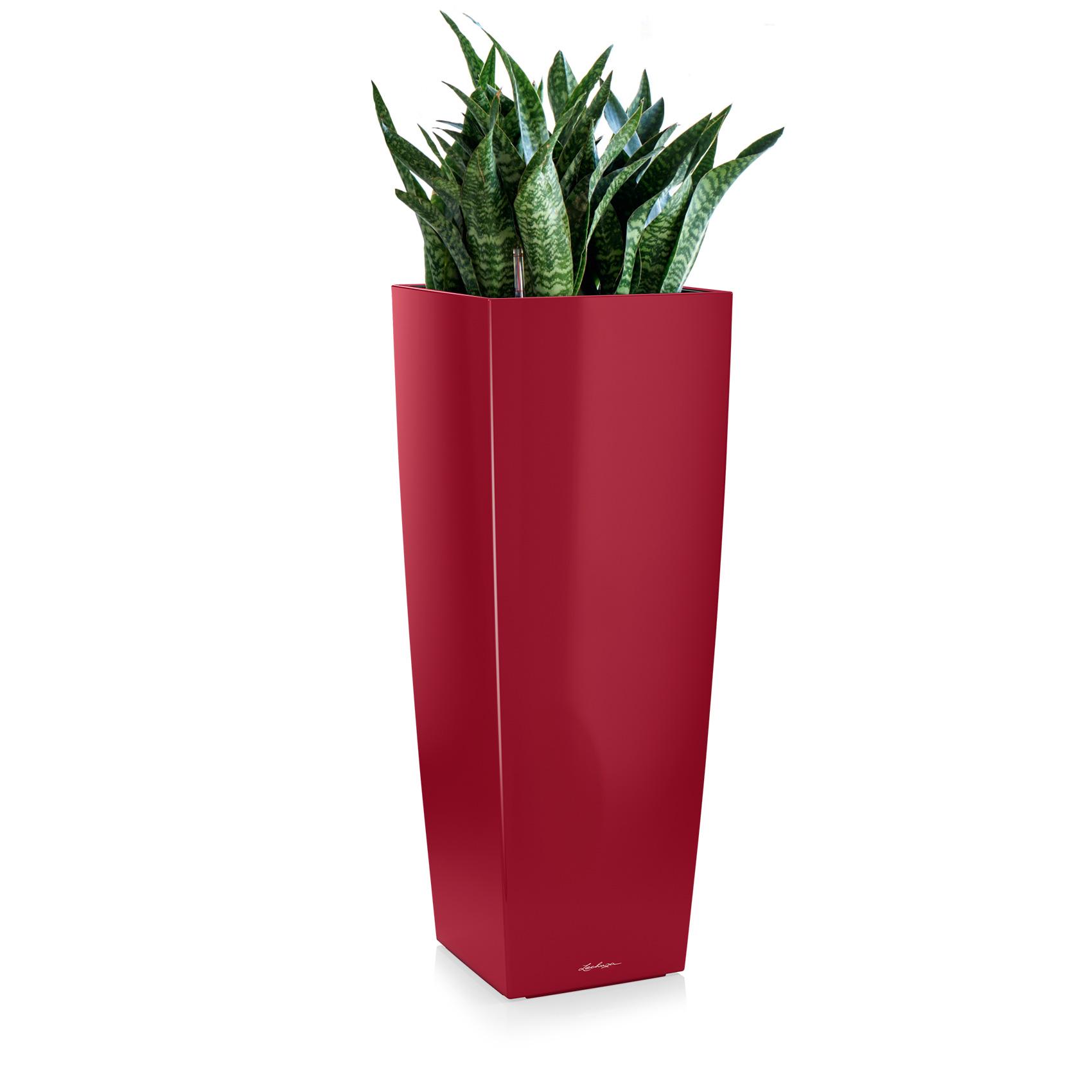 CUBICO ALTO scarlet red high-gloss