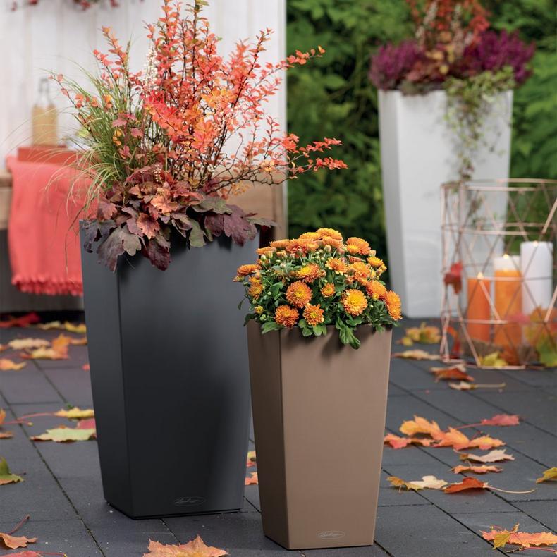 le_cubico-color30_product_addi_02