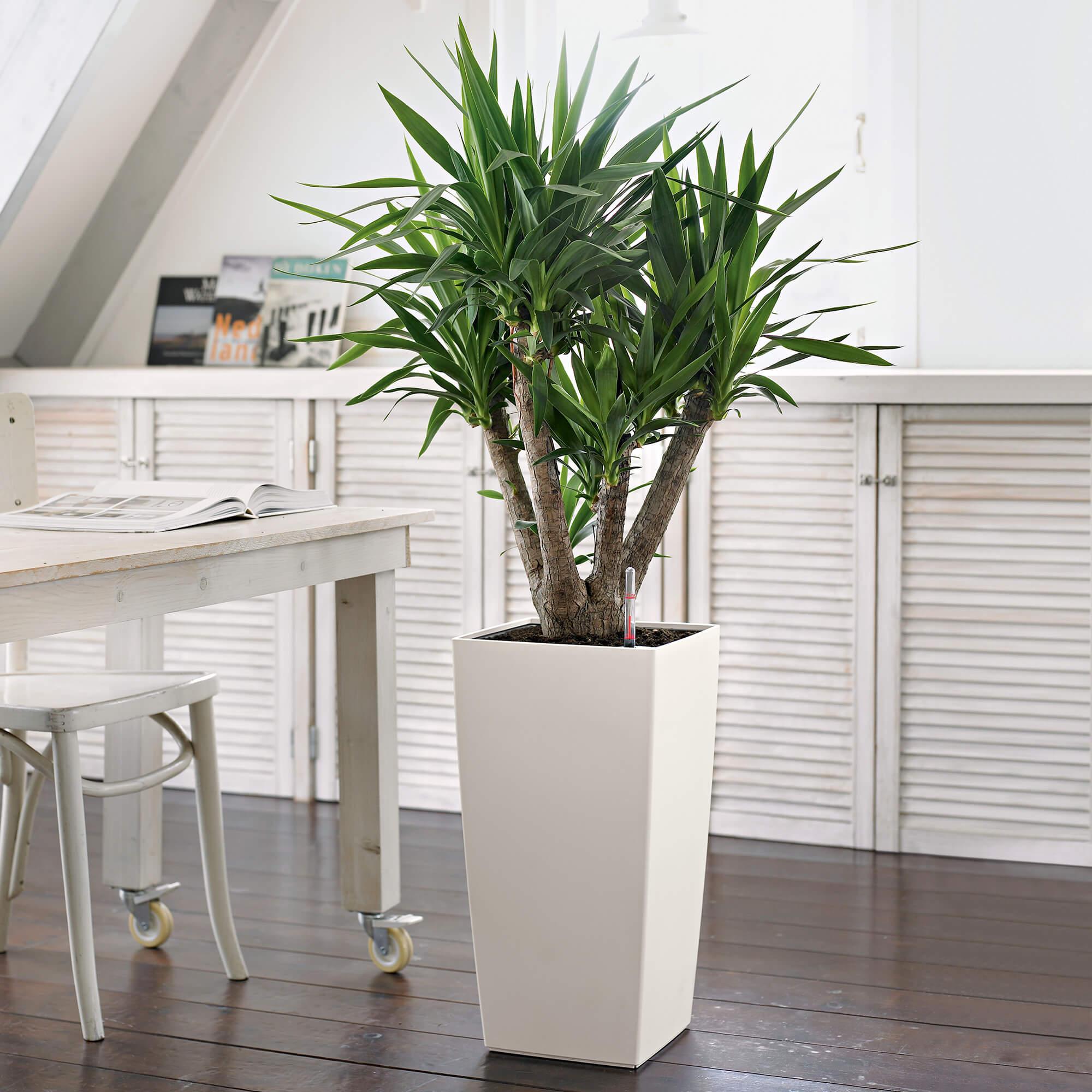 le_cubico-color30_product_addi_03