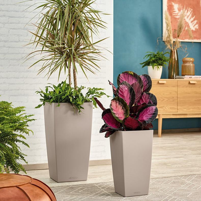 le_cubico-color30_product_addi_04