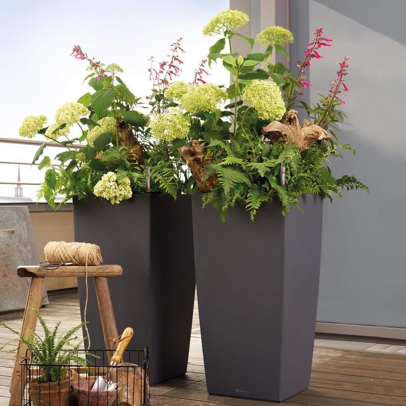 le_cubico-color40_product_addi_01