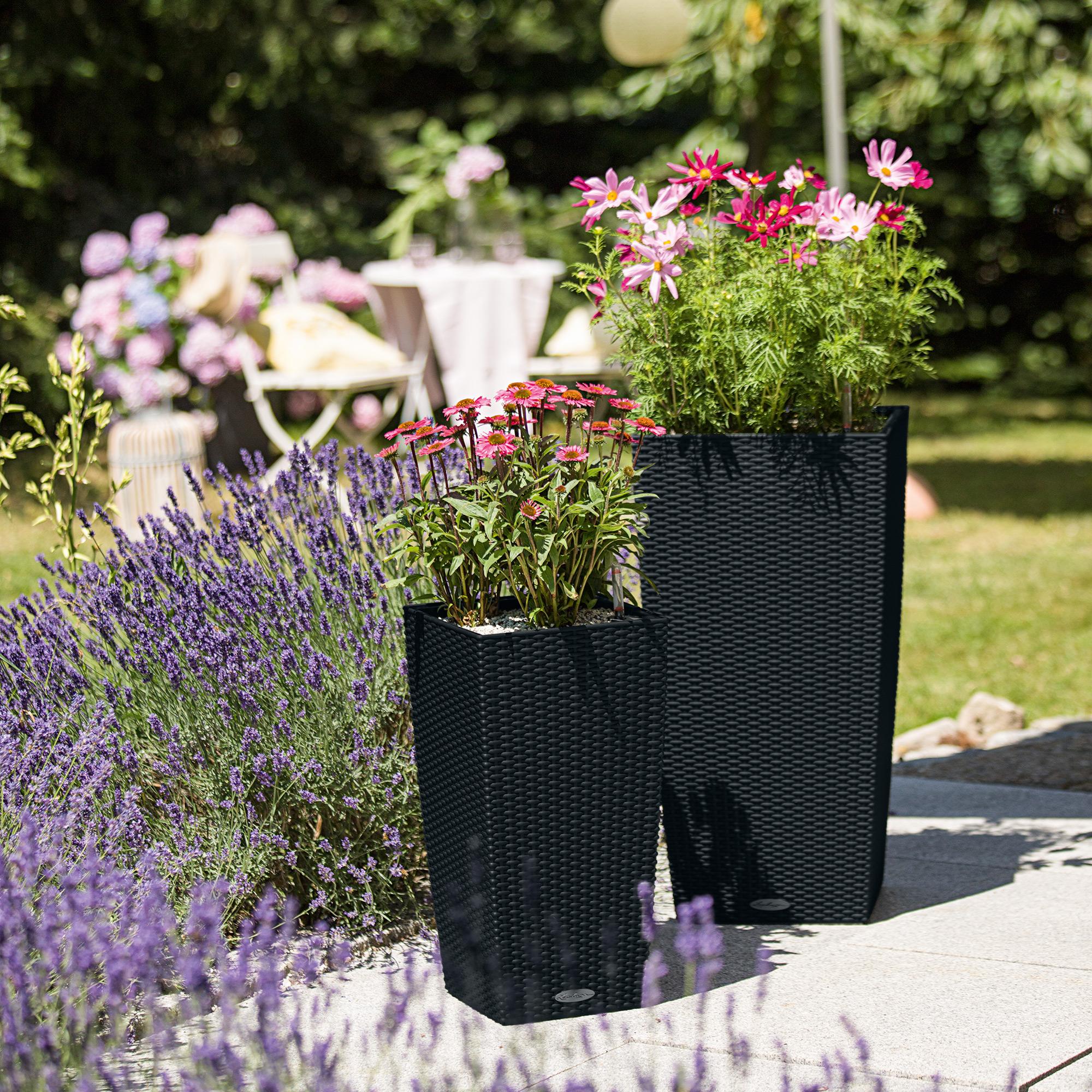 le_cubico-cottage_product_addi_03