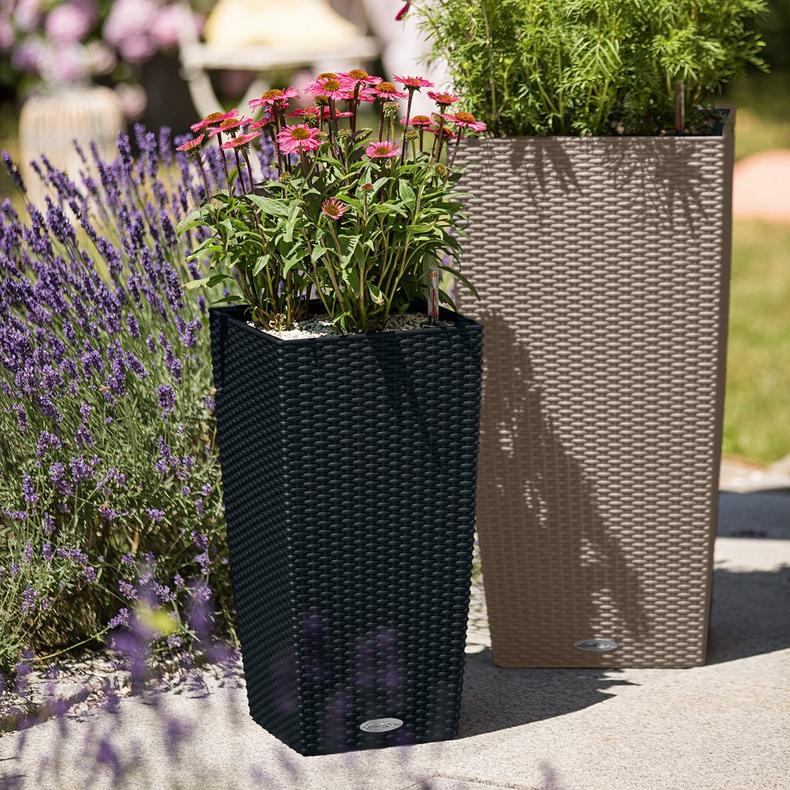 le_cubico-cottage_product_addi_05