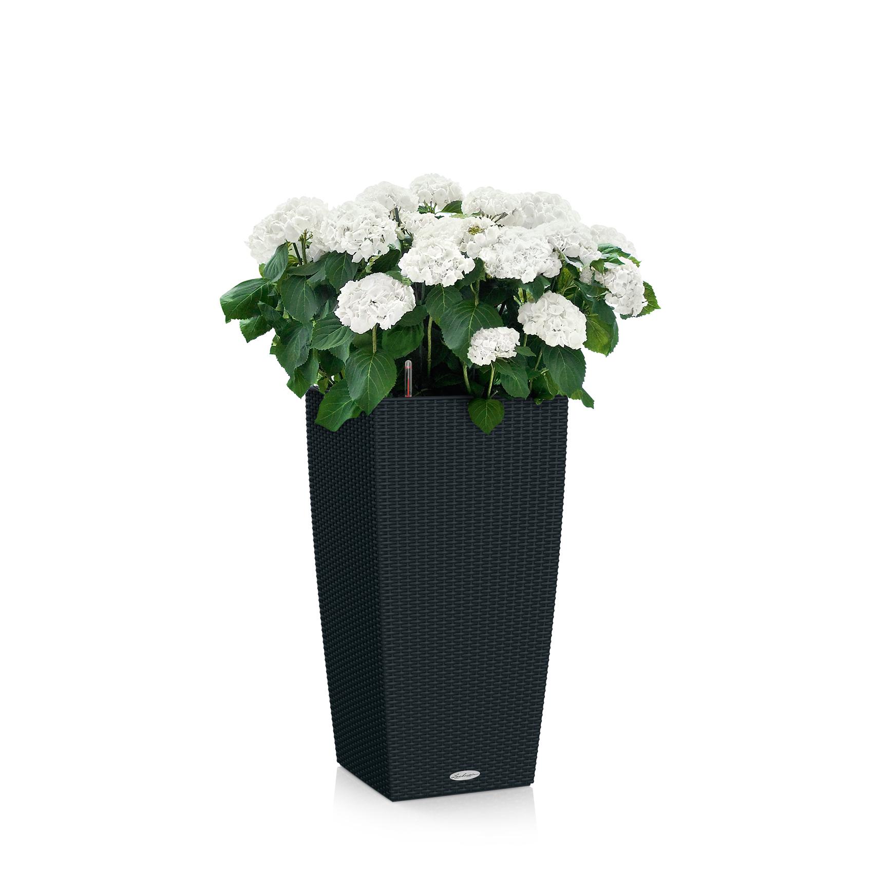 CUBICO Cottage 30 graphite black