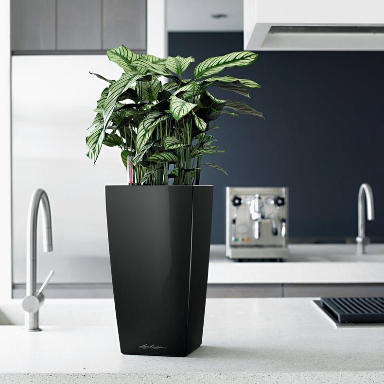 le_cubico22_product_addi_04