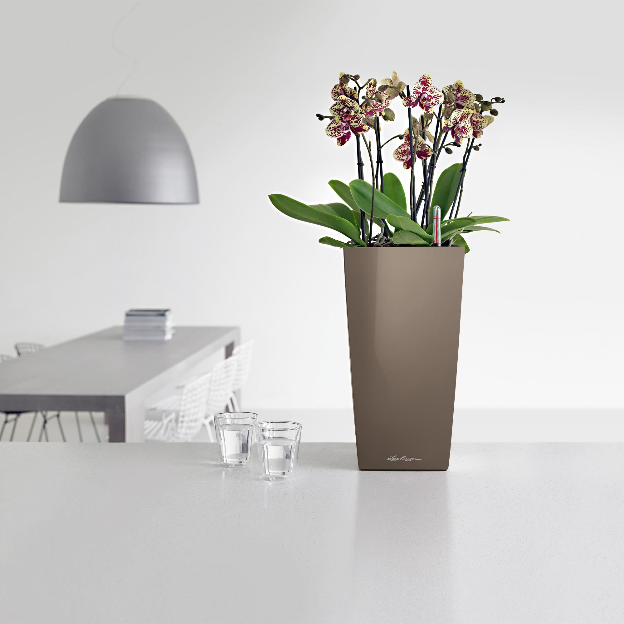 le_cubico22_product_addi_05