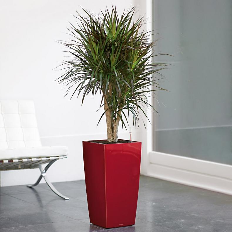 le_cubico30_product_addi_02