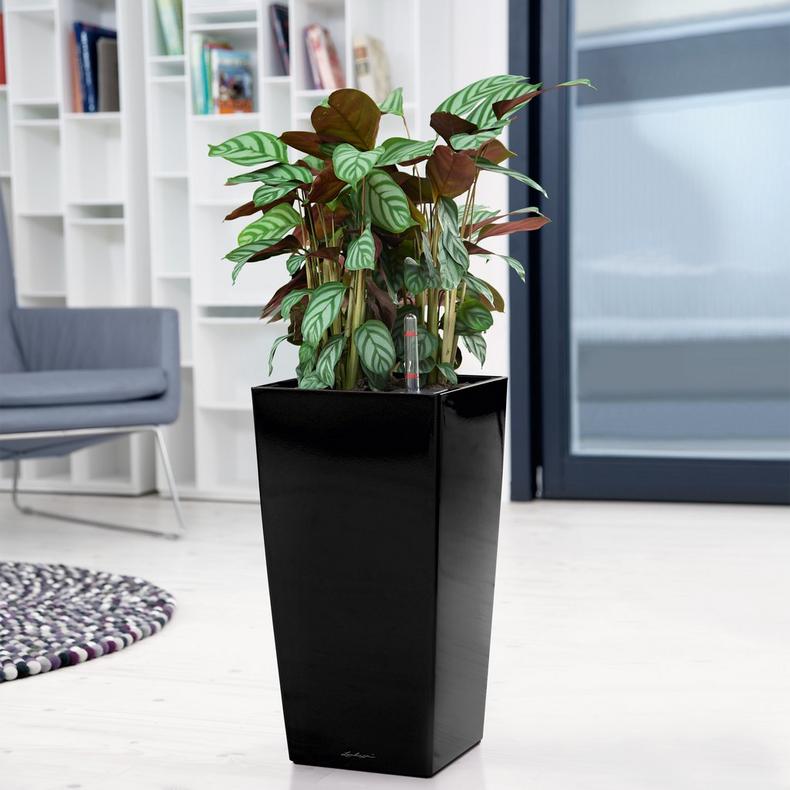 le_cubico30_product_addi_04