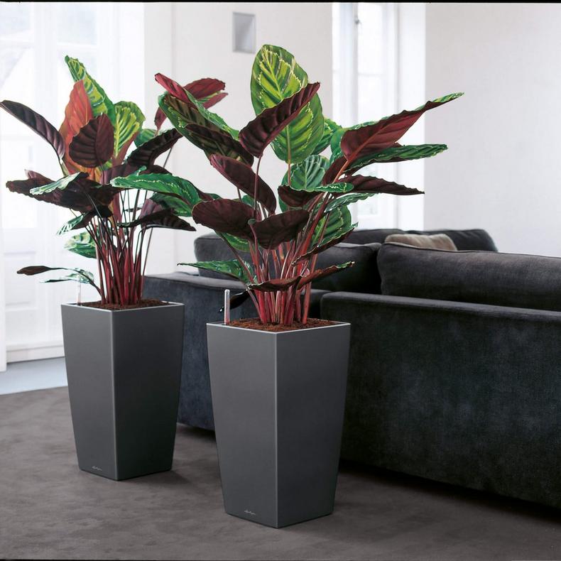 le_cubico40_product_addi_02