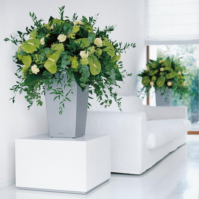 le_cubico40_product_addi_03