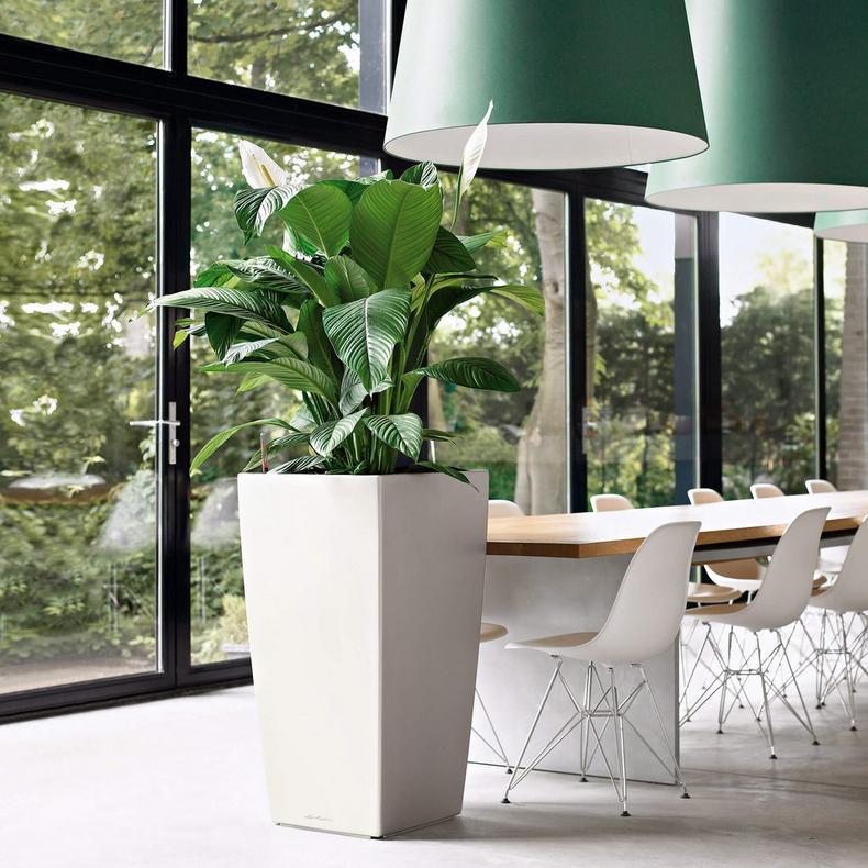 le_cubico50_product_addi_01