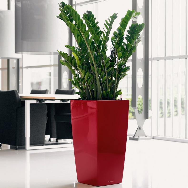 le_cubico50_product_addi_04