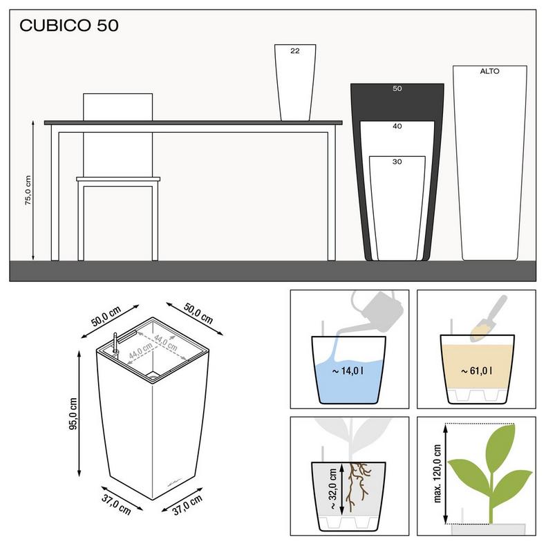 le_cubico50_product_addi_nz