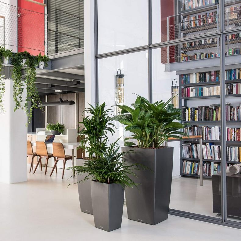 le_cubico_product_addi_02