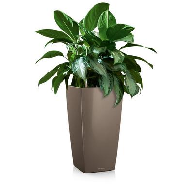 CUBICO 30 taupe hochglanz