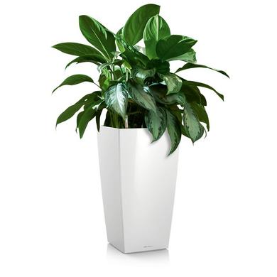 CUBICO 30 blanc brillant