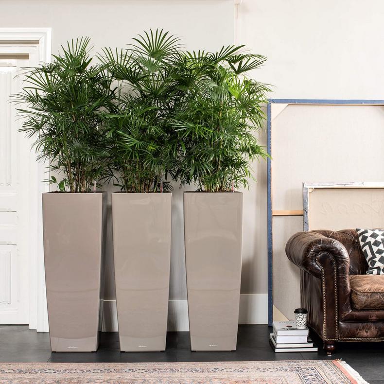 le_cubicoalto_product_addi_03