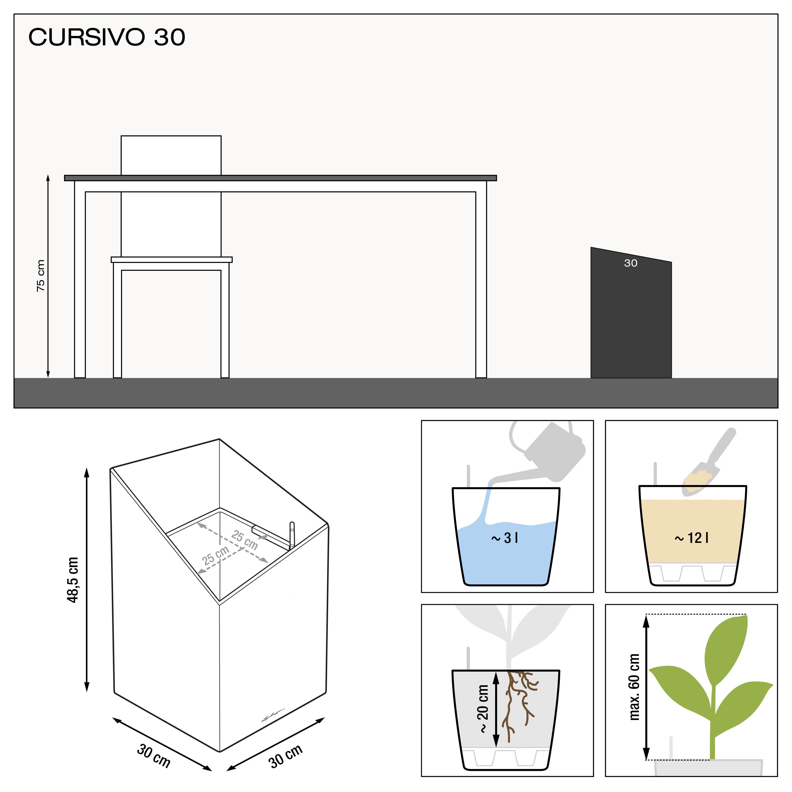 le_cursivo30_product_addi_nz