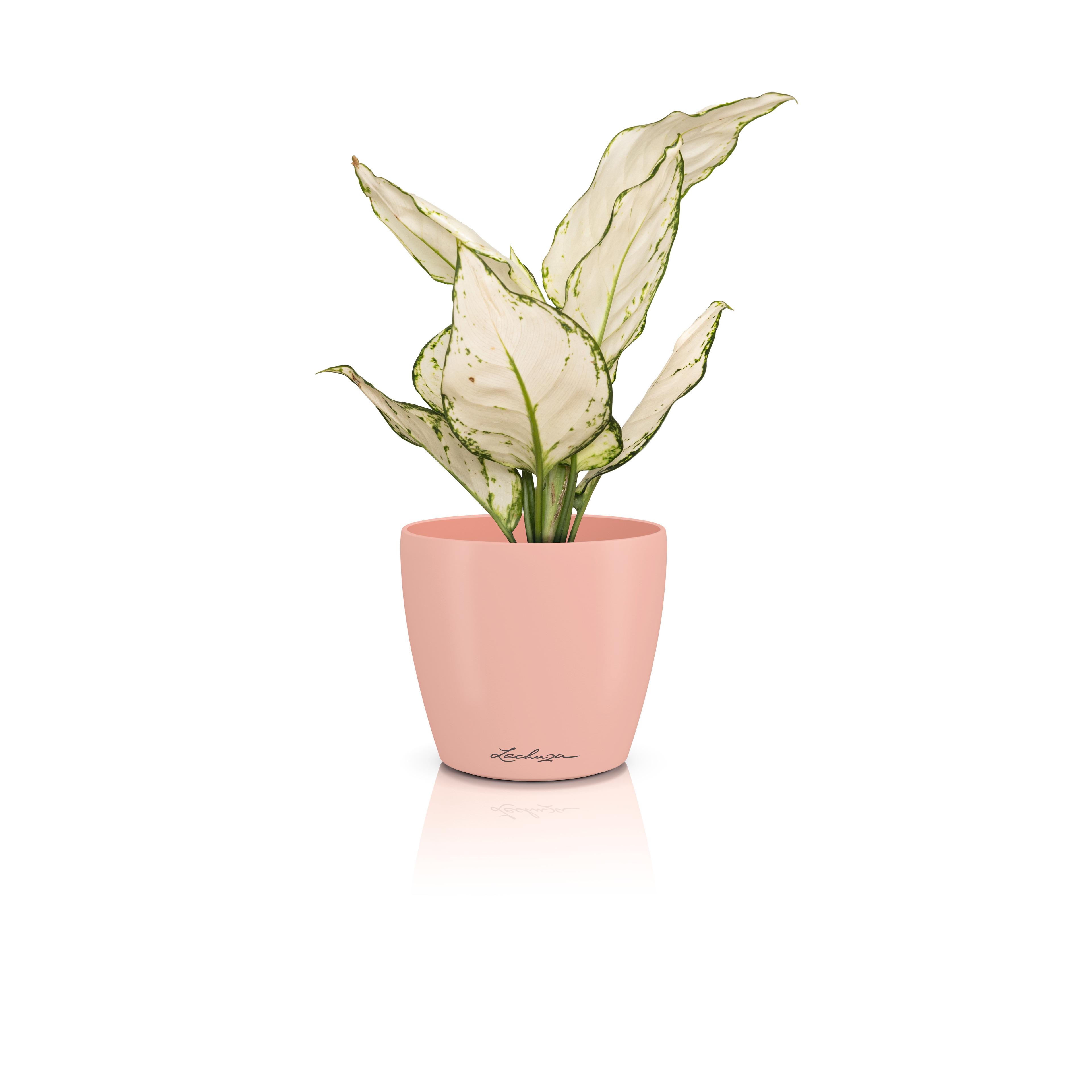 DECO