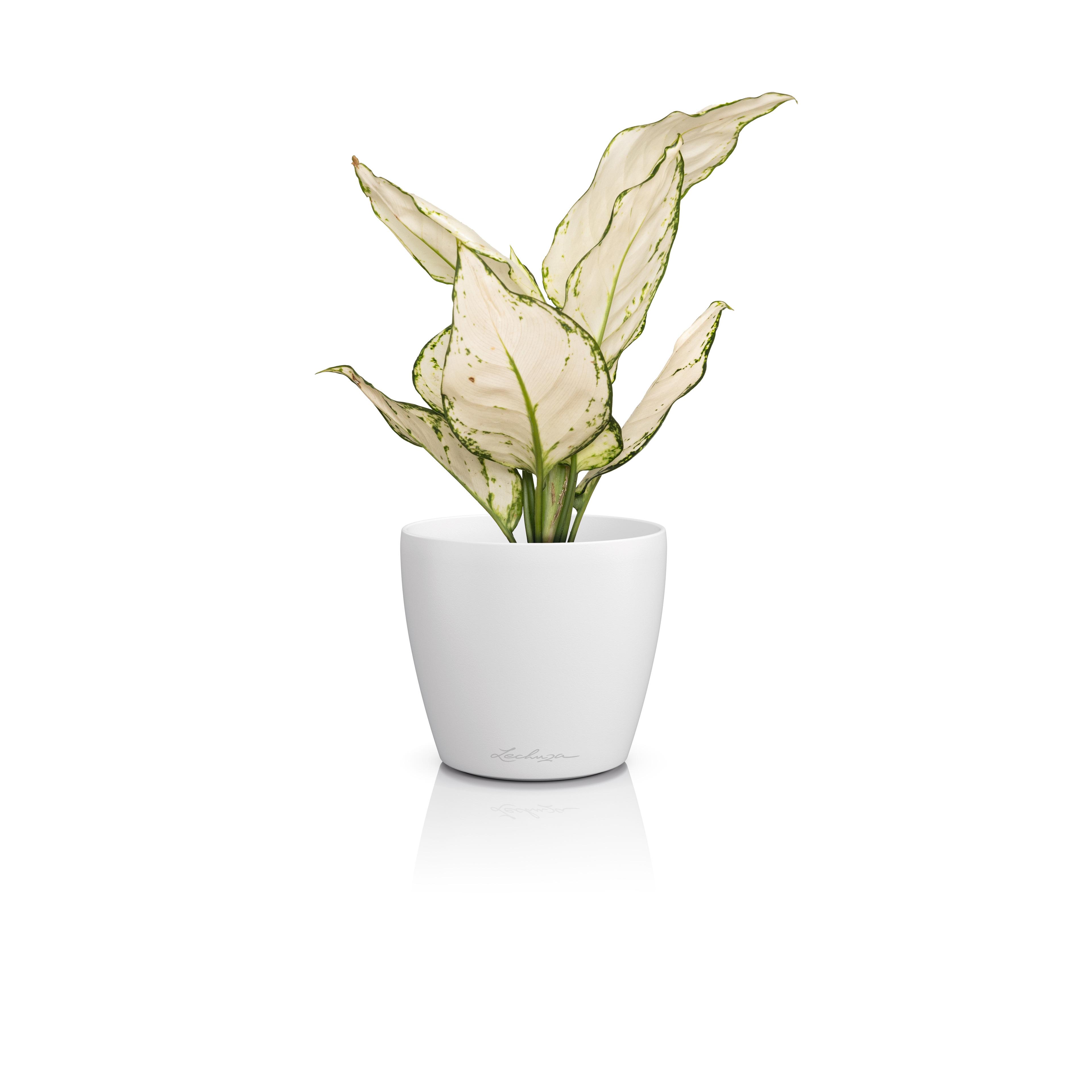 DECO 28 wei&szlig;