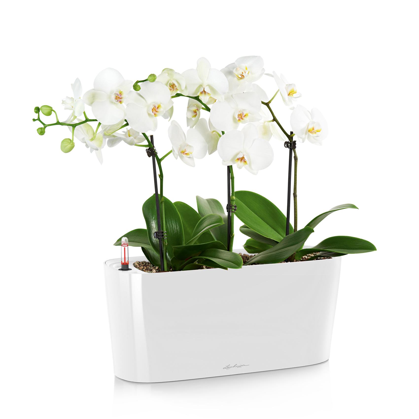 DELTA Premium 20 white high-gloss